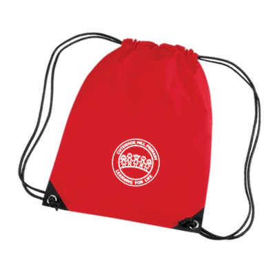 PE Bag